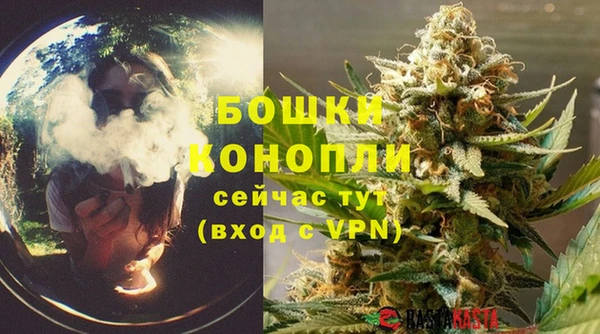 спайс Белокуриха