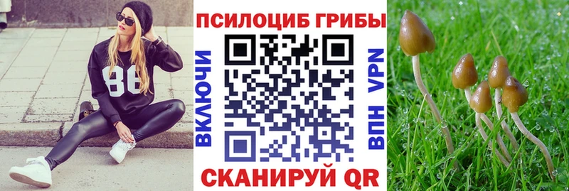 shop Telegram  Волосово  Галлюциногенные грибы Cubensis  наркотики 